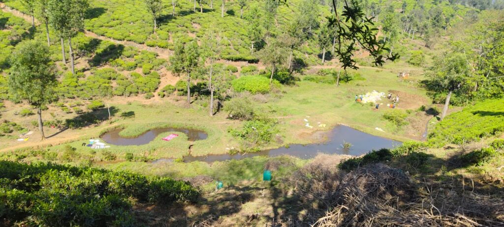 Resilient Watershed & Eco-Restoration Project